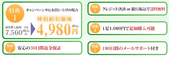 �ۃs�^�N�̔��T�C�g��