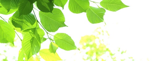 �ۃs�^�N ���̏L���΍�C���\�[���̔��T�C�g��